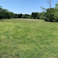 自然公園を散策