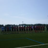 全国高等学校サッカー選手権　新潟県予選