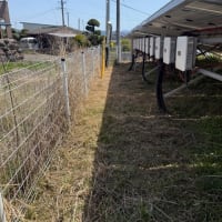 太陽光発電所・メガソーラー草刈り・除草剤散布は便利屋タスケットへ！