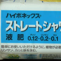 奇妙な話です 　   追記しておきます　　　さらに追記です