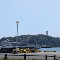 2025. 4.12 : 写生会（片瀬漁港）