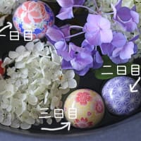 万博に備えて足慣らしを