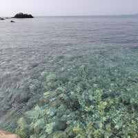 水曜ツーリング