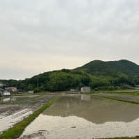 今朝のこと