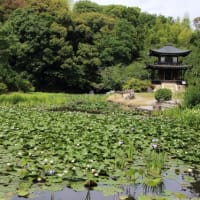 勧修寺Ⅱ