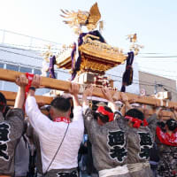 八重垣神社祇園祭　神輿連合渡御