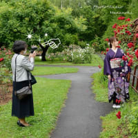 6/30　成人式撮影・アシスタントはお婆ちゃん♫　札幌写真館ハレノヒ