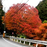 ため息ひとつ　ε-(´・｀) 