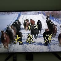 新作どうでしょう【最終夜】