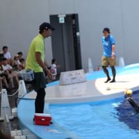 四国水族館Ⅲ