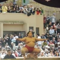 番付発表されましたね。
