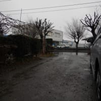 25-03-27　春雷
