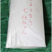 七仔、お星さまになりました(;.;)