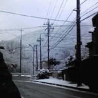箱根も雪でした