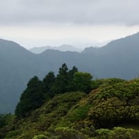 鈴鹿セブンの入道ヶ岳に登りました。