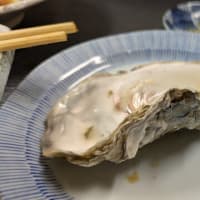 帰ってきました 苫小牧