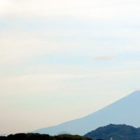 2024年7月29日の富士山