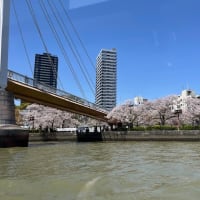 「お花見クルーズ」・・・大阪水上バス！