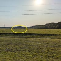 戻ってきました北海道