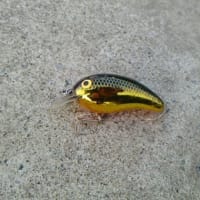 バス釣り