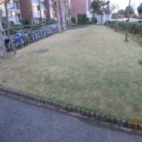＃㊶新松戸ファミ－ハイツ理事会各位　清掃員の減少と管理を