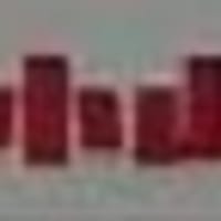 おやま あれま おやまゆうえんち 時間の外 Since 06 おやま あれま おやまゆうえんち 時間の外 Since 06
