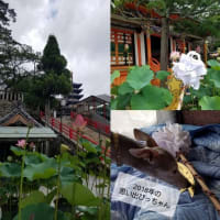 ２回目の月命日