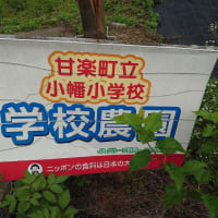 6/23(月)朝焼け&夕日に輝く里山〜🎵