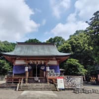 半夏生