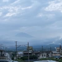 誰かが球根を食べている(驚