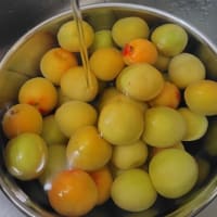 うめ仕事はじめます