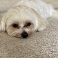 今日の出来事
