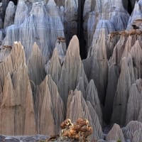 野町和嘉『写真』とは（5）ー 新しい写真の時代 ー