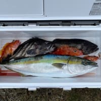 2025/02/28の釣り