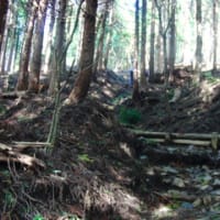 ヤビツ峠～二ノ塔～三ノ塔～塔ノ岳～大倉（アタック）