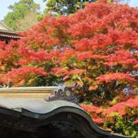 青空と友に歩く