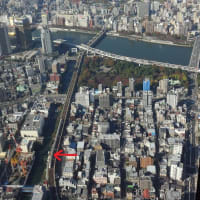 東京スカイツリーの夜景（２０２４年７月）