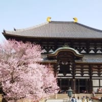 2024年3月関西旅行：東大寺～新薬師寺～大和文華館ほか
