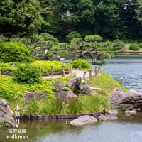 清澄庭園、初夏の彩り。