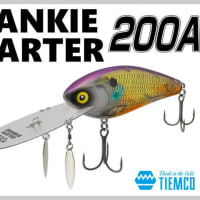 クランキーダーター２００Ａ入荷！