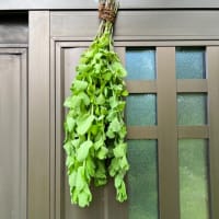 ミントをまとめて吊るし、防虫に