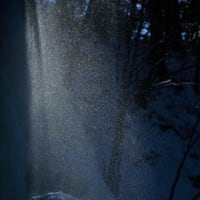 雪光舞