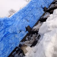N-PSG工法研究会主催の雪崩防止杭工法の積雪観測