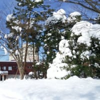 昭和の冬景色・・・