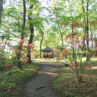 餅米