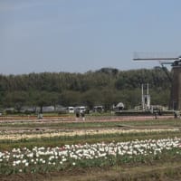 佐倉ふるさと広場