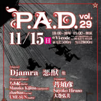 『Art fest P.A.D.vol.29』大阪中津／Vi-code