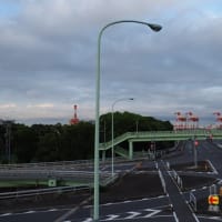 大井北埠頭橋から