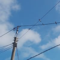 つばめ会議
