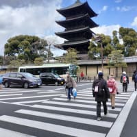 第13回京都ツーデーウォークに参加して